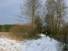 Filename=2009-01-03-529.jpg
Filesize=105KB
Dimensions=1024x768
Date added=Jan 04, 2009 2009-01-03-529.jpg