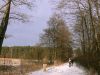Filename=2009-01-03-530.jpg
Filesize=148KB
Dimensions=1024x768
Date added=Jan 04, 2009 2009-01-03-530.jpg
