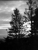 Filename=1986-11-bene.jpg
Filesize=29KB
Dimensions=457x600
Date added=May 28, 2008 1986-11-bene.jpg