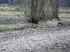 Filename=2007-03-15-46.jpg
Filesize=152KB
Dimensions=1024x768
Date added=May 28, 2008 2007-03-15-46.jpg