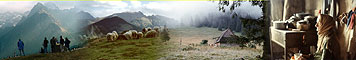 Rusinowe.Fotosy.EU